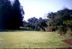 1.1 Jardn Botnico 1980s